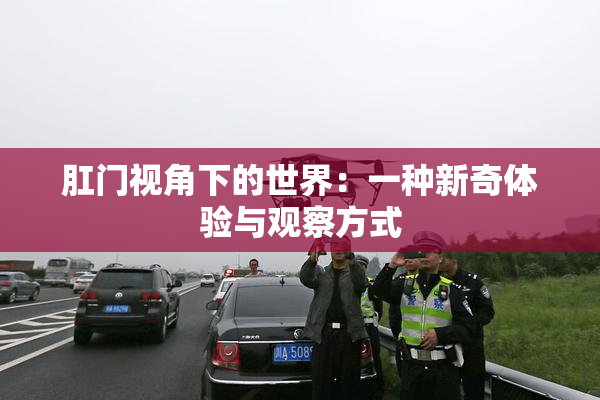 肛门视角下的世界：一种新奇体验与观察方式
