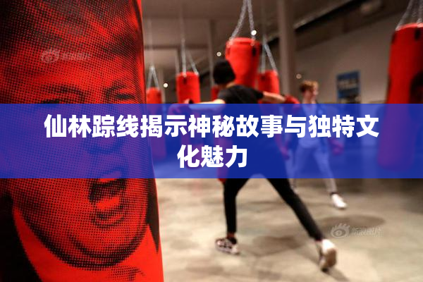 仙林踪线揭示神秘故事与独特文化魅力