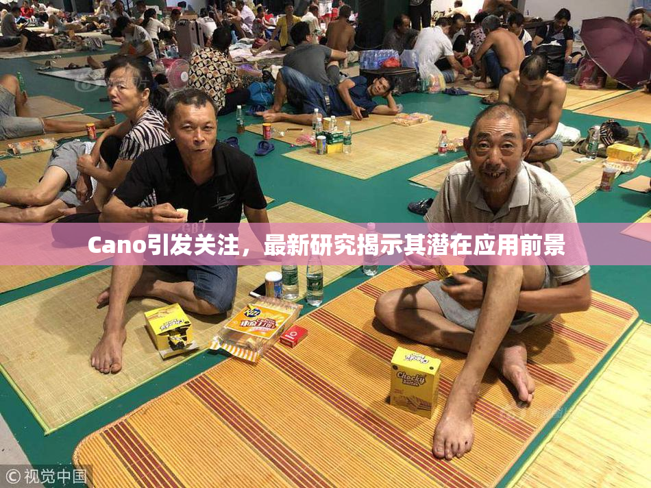 Cano引发关注，最新研究揭示其潜在应用前景