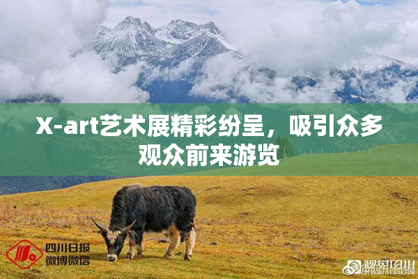 X-art艺术展精彩纷呈，吸引众多观众前来游览