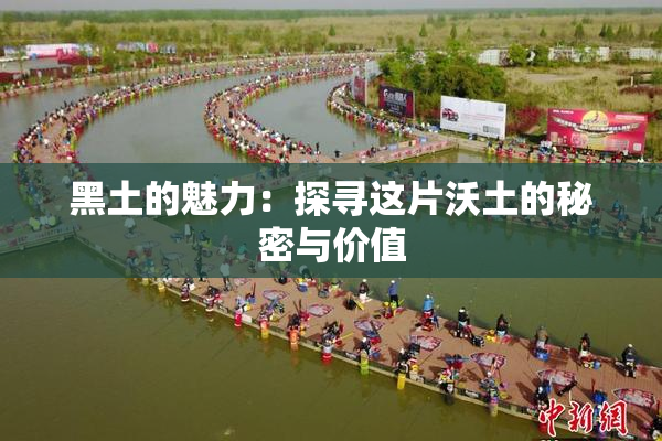 黑土的魅力：探寻这片沃土的秘密与价值