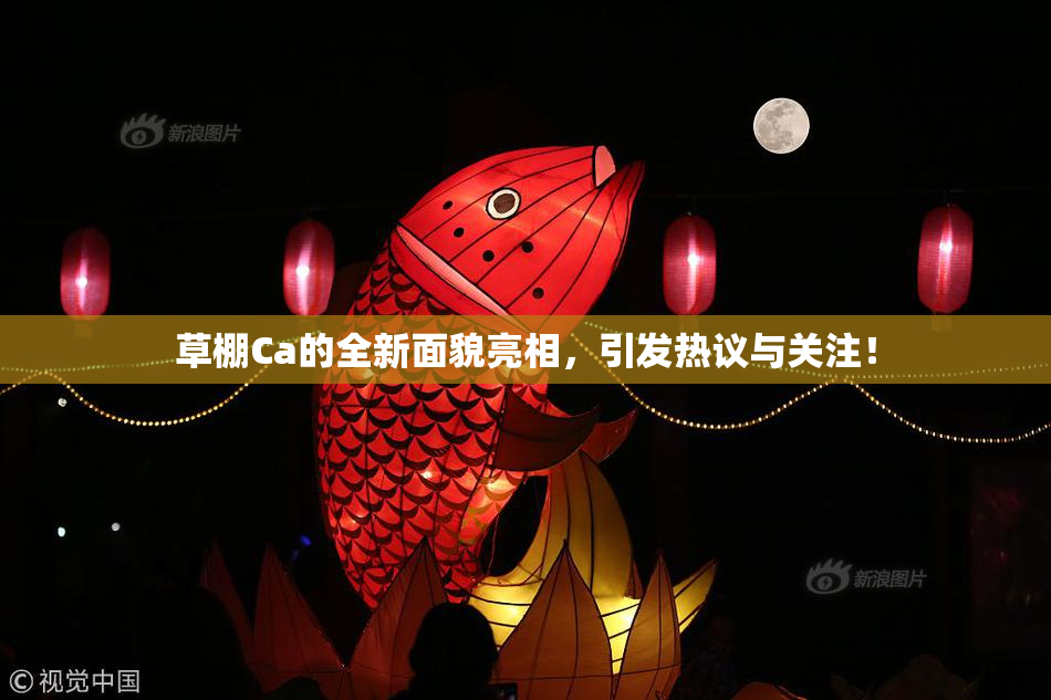 草棚Ca的全新面貌亮相，引发热议与关注！