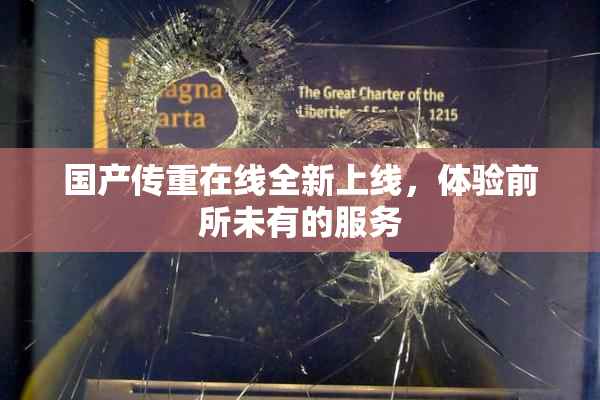 国产传重在线全新上线，体验前所未有的服务