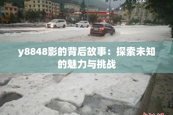 y8848影的背后故事：探索未知的魅力与挑战