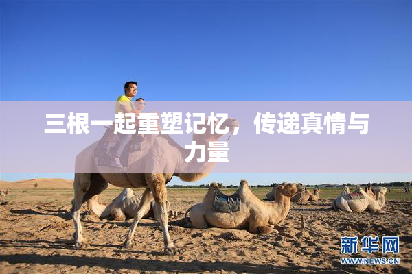 三根一起重塑记忆，传递真情与力量