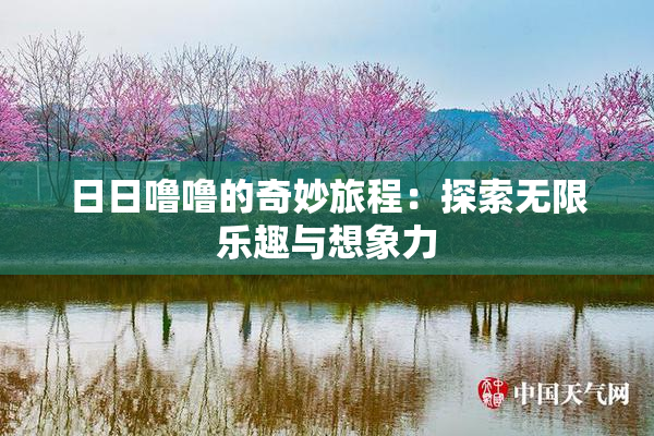日日噜噜的奇妙旅程：探索无限乐趣与想象力