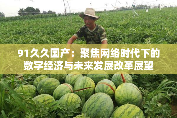 91久久国产：聚焦网络时代下的数字经济与未来发展改革展望