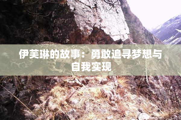 伊芙琳的故事：勇敢追寻梦想与自我实现