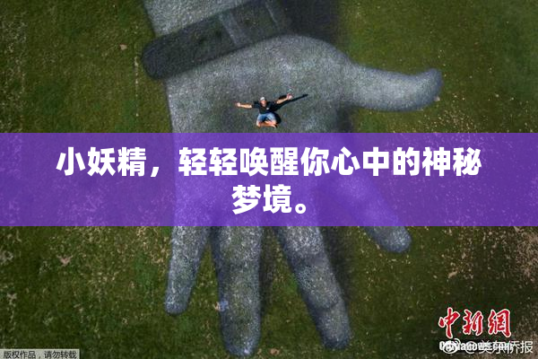小妖精，轻轻唤醒你心中的神秘梦境。