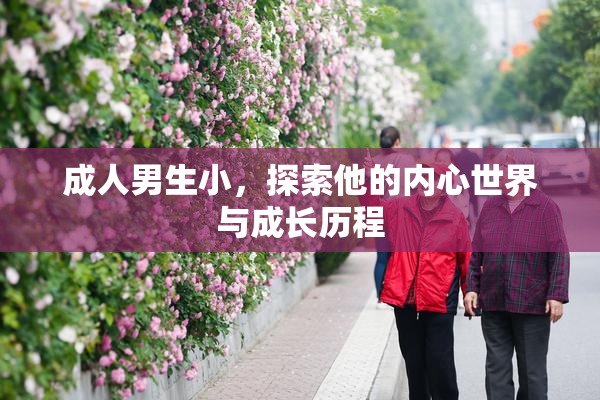 成人男生小，探索他的内心世界与成长历程