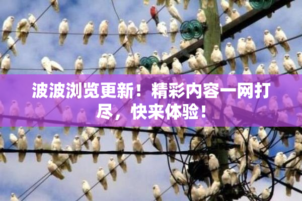 波波浏览更新！精彩内容一网打尽，快来体验！