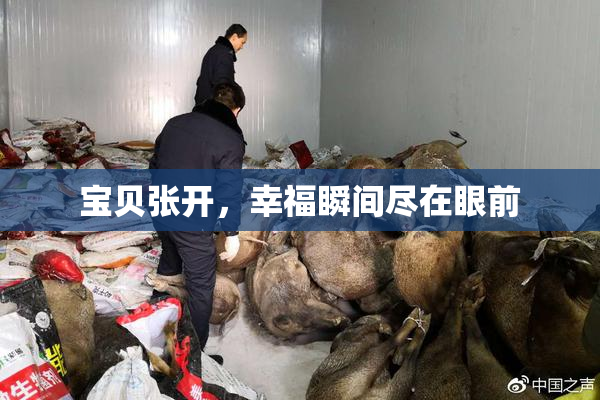 宝贝张开，幸福瞬间尽在眼前
