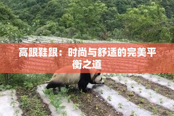 高跟鞋跟：时尚与舒适的完美平衡之道