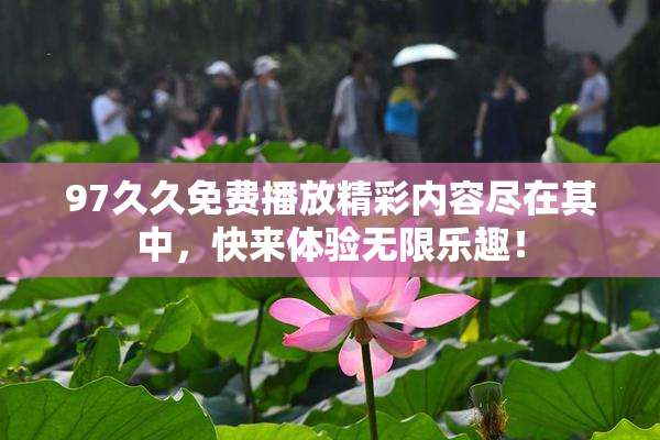 97久久免费播放精彩内容尽在其中，快来体验无限乐趣！