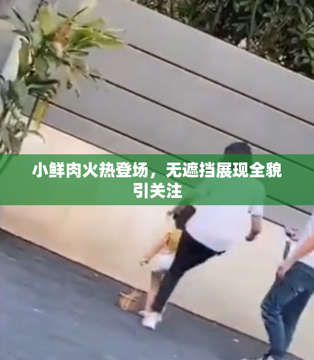 小鲜肉火热登场，无遮挡展现全貌引关注