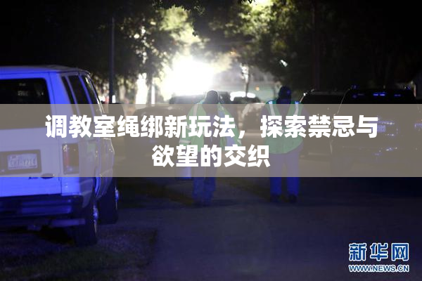 调教室绳绑新玩法，探索禁忌与欲望的交织