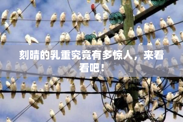 刻晴的乳重究竟有多惊人，来看看吧！