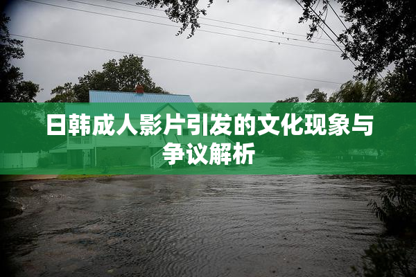 日韩成人影片引发的文化现象与争议解析