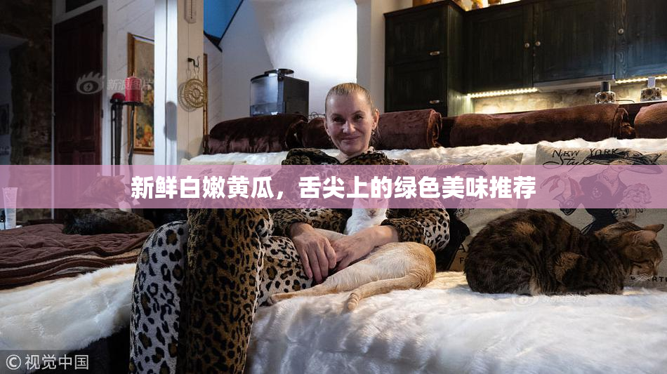 新鲜白嫩黄瓜，舌尖上的绿色美味推荐