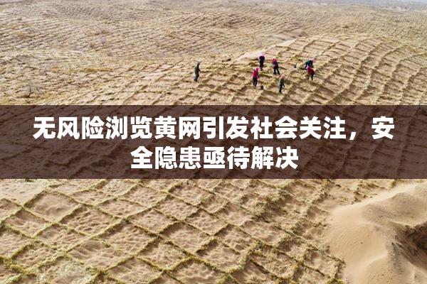 无风险浏览黄网引发社会关注，安全隐患亟待解决