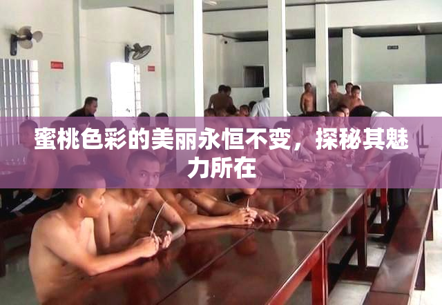 蜜桃色彩的美丽永恒不变，探秘其魅力所在