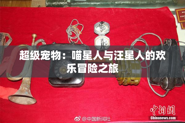 超级宠物：喵星人与汪星人的欢乐冒险之旅