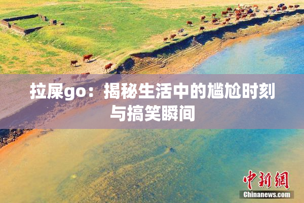 拉屎go：揭秘生活中的尴尬时刻与搞笑瞬间