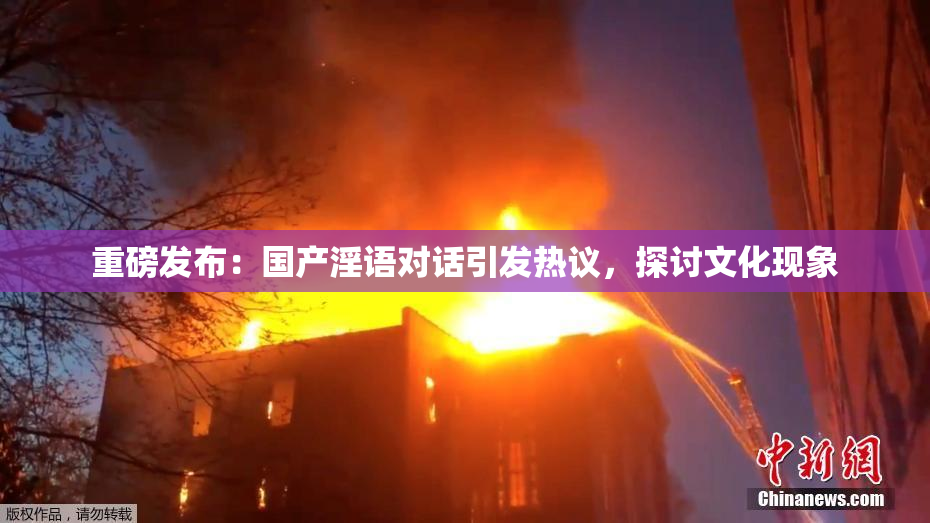 重磅发布：国产淫语对话引发热议，探讨文化现象