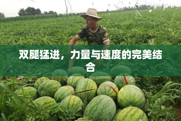 双腿猛进，力量与速度的完美结合
