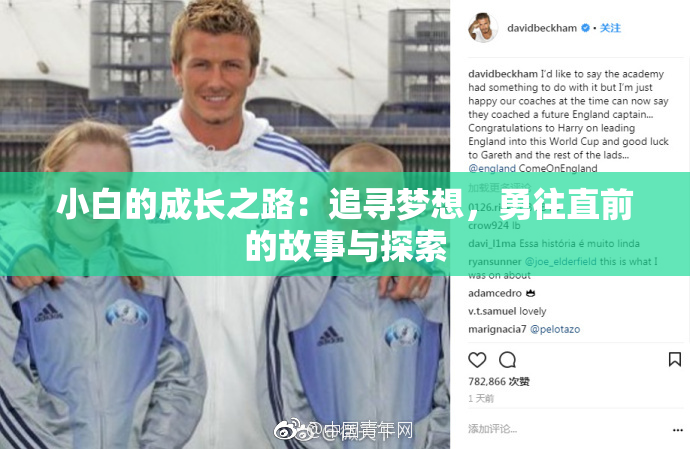 小白的成长之路：追寻梦想，勇往直前的故事与探索