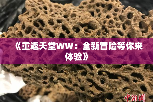《重返天堂WW：全新冒险等你来体验》