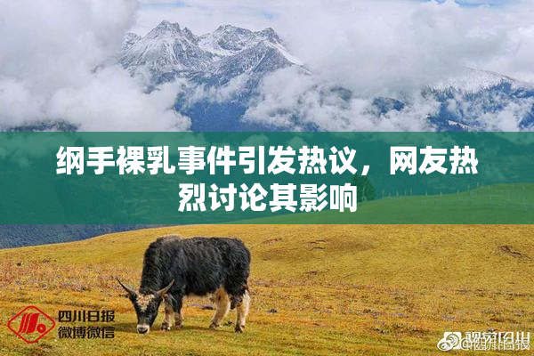 纲手裸乳事件引发热议，网友热烈讨论其影响