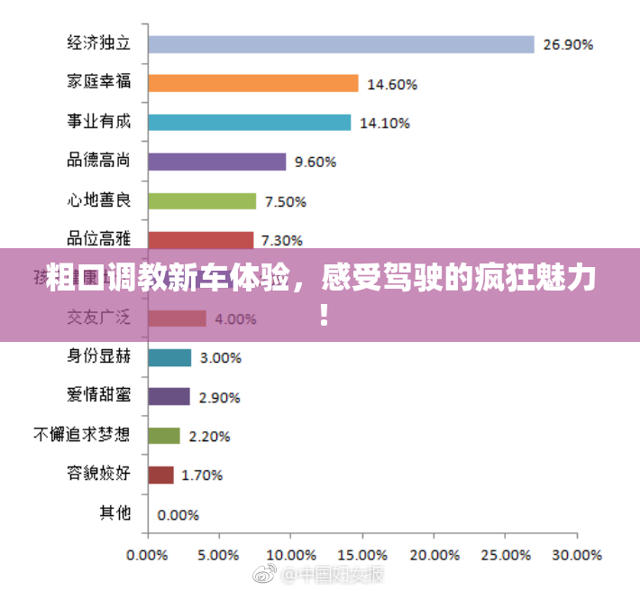 粗口调教新车体验，感受驾驶的疯狂魅力！