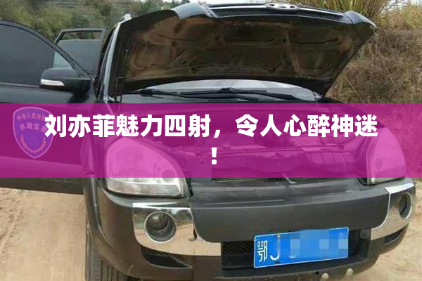 刘亦菲魅力四射，令人心醉神迷！