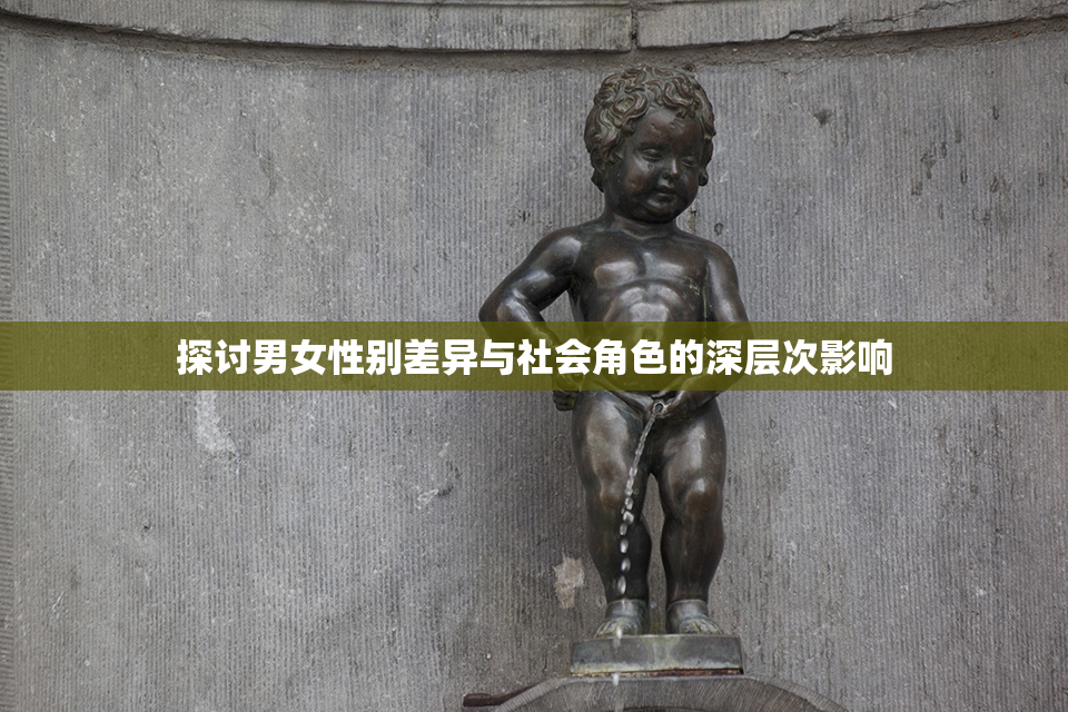 探讨男女性别差异与社会角色的深层次影响
