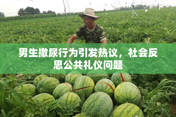 男生撒尿行为引发热议，社会反思公共礼仪问题