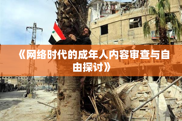 《网络时代的成年人内容审查与自由探讨》