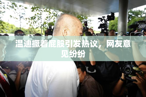 温迪撅着屁股引发热议，网友意见纷纷