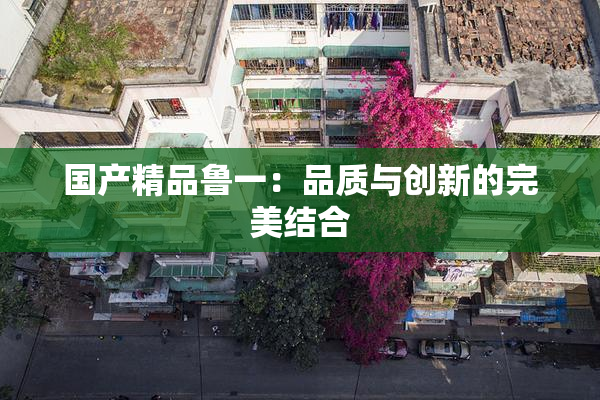 国产精品鲁一：品质与创新的完美结合
