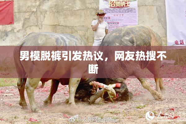 男模脱裤引发热议，网友热搜不断