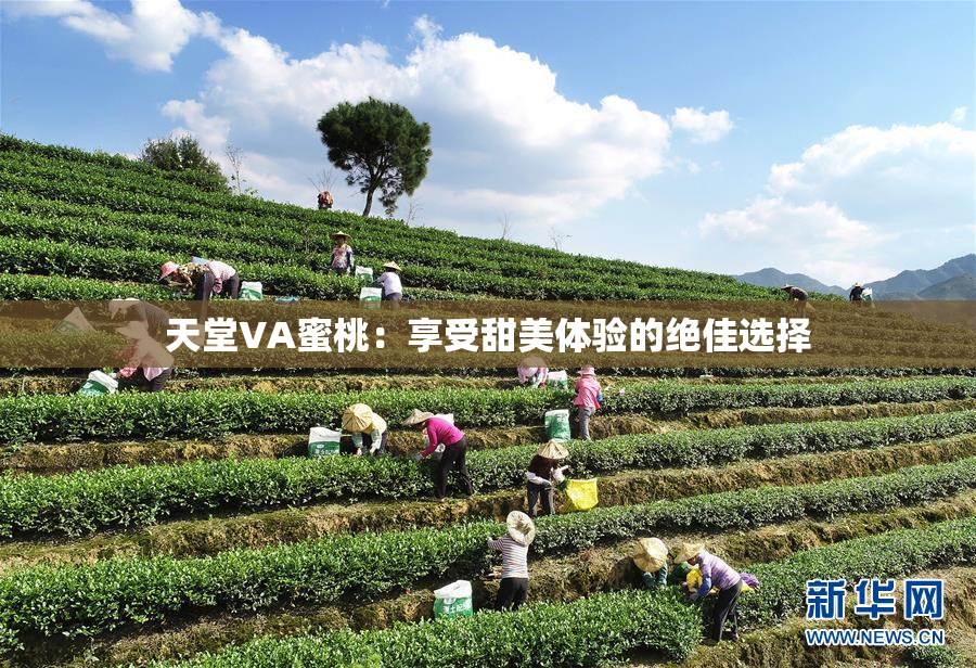 天堂VA蜜桃：享受甜美体验的绝佳选择