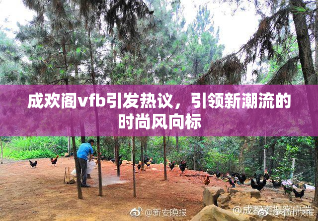 成欢阁vfb引发热议，引领新潮流的时尚风向标