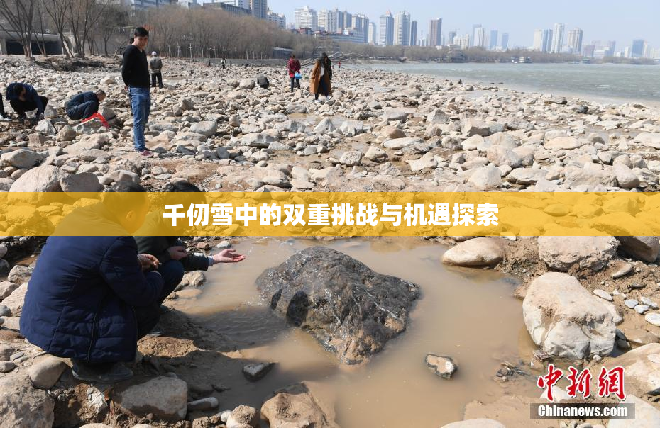 千仞雪中的双重挑战与机遇探索