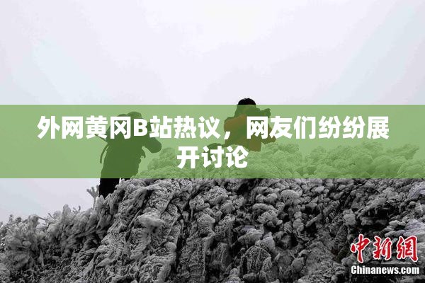 外网黄冈B站热议，网友们纷纷展开讨论