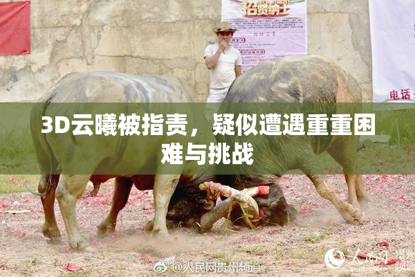 3D云曦被指责，疑似遭遇重重困难与挑战