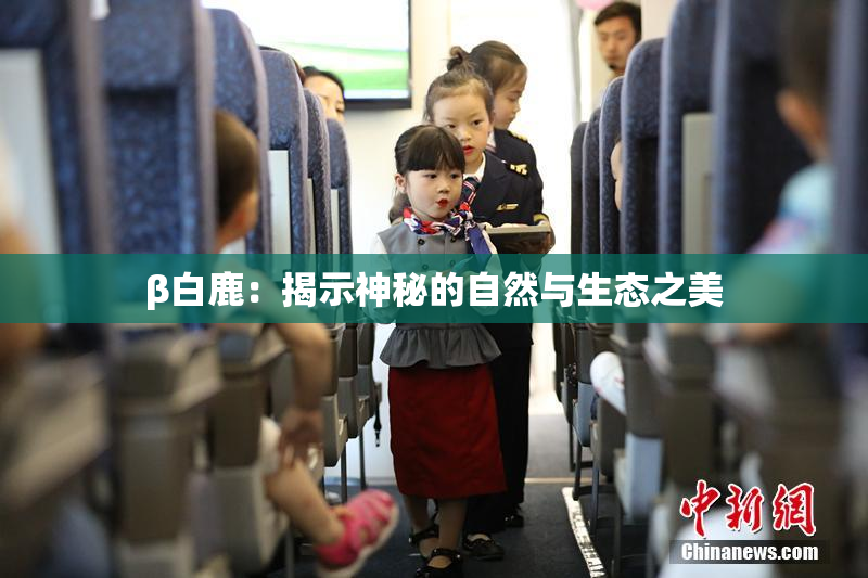 β白鹿：揭示神秘的自然与生态之美