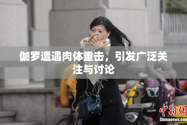 伽罗遭遇肉体重击，引发广泛关注与讨论