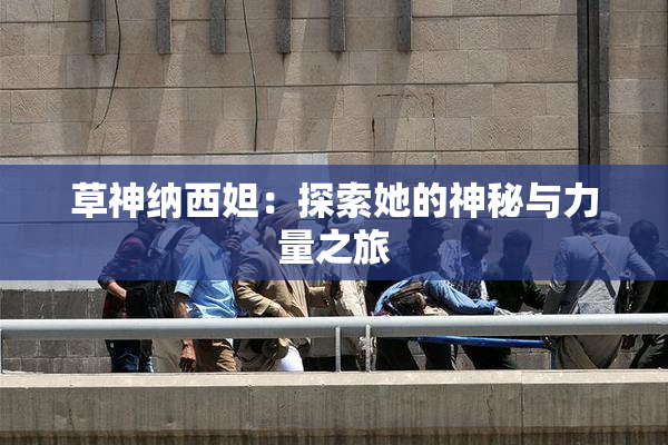 草神纳西妲：探索她的神秘与力量之旅