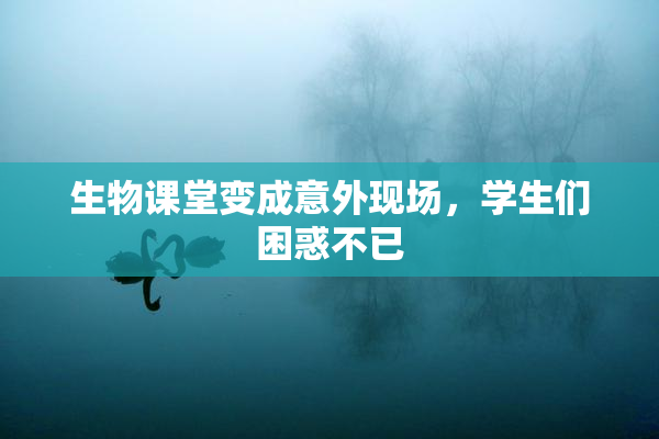 生物课堂变成意外现场，学生们困惑不已