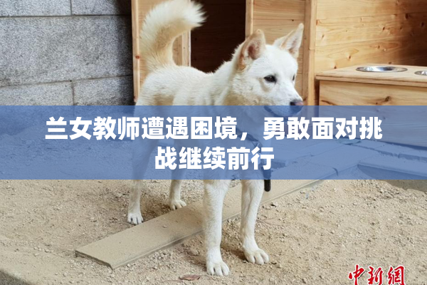 兰女教师遭遇困境，勇敢面对挑战继续前行